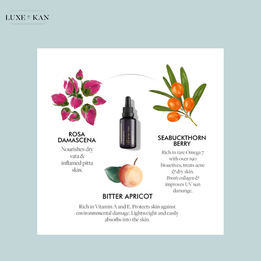 Illumine supercritical face oil ingredients: Rosa Damascena, Seabuckthorn Berry, and Bitter Apricot, highlighting their benefits for skin health.