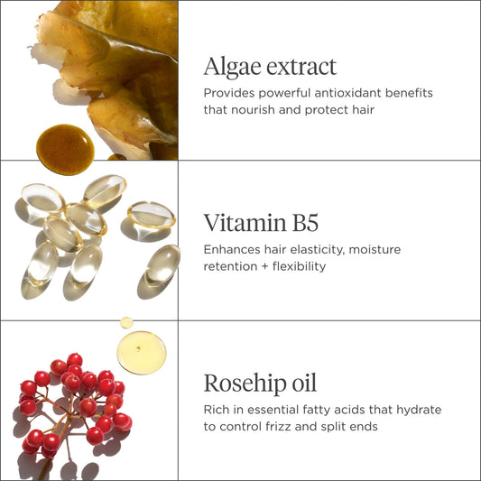 بريوجيو بلوسوم آند بلوم™ شامبو الجينسنغ + البيوتين لتكثيف الشعر 236 مل