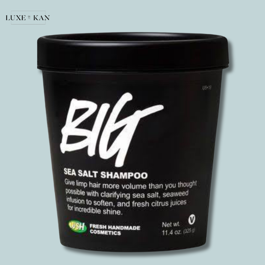 LUSH COSMETICS Big Shampoo