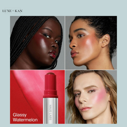 HAUS LABS COLOR FUSE GLASSY BLUSH BALM STICK