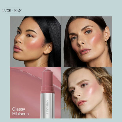 HAUS LABS COLOR FUSE GLASSY BLUSH BALM STICK