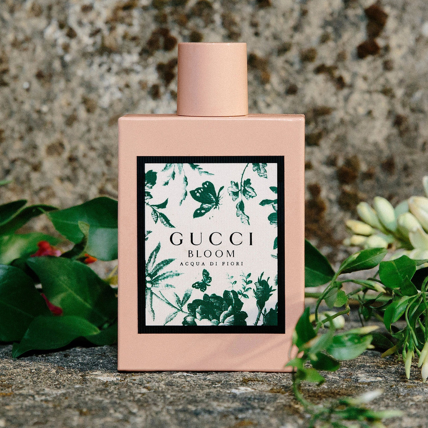 Gucci bloom acqua di fiori clearance set